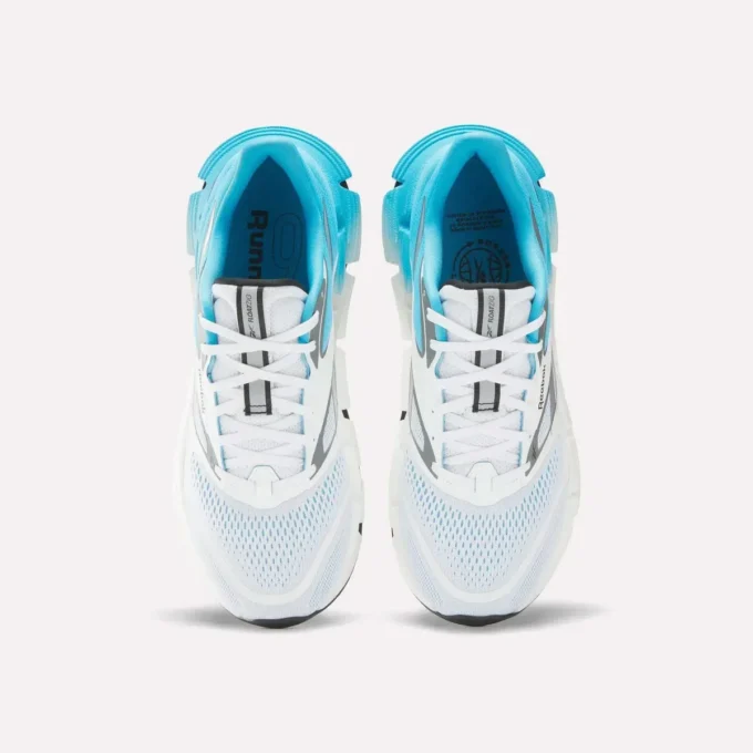 FloatZig 2 Laufschuhe für Herren