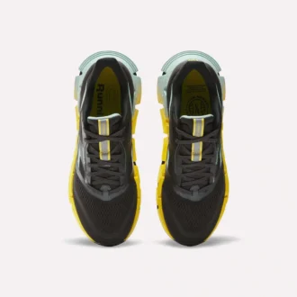 FloatZig 2 Laufschuhe für Herren