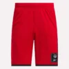 Herren-Basketball-Mesh-Shorts