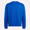 Herren-Sweatshirt im College-Stil