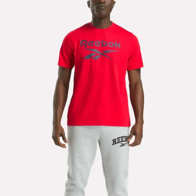 Herren-T-Shirt mit großem Logo und Rundhalsausschnitt