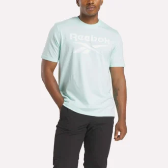 Herren-T-Shirt mit großem Logo und Rundhalsausschnitt