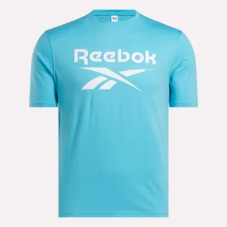 Herren-T-Shirt mit großem Logo und Rundhalsausschnitt