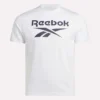 Herren-T-Shirt mit großem Logo und Rundhalsausschnitt