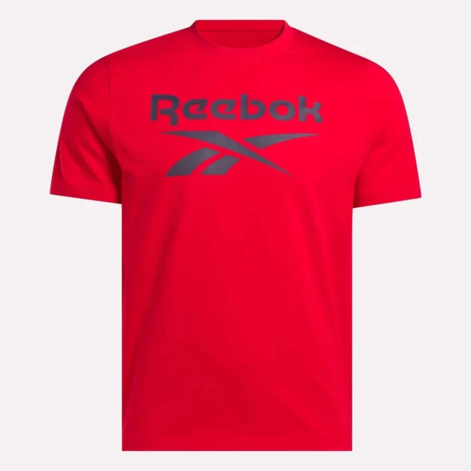 Herren-T-Shirt mit großem Logo und Rundhalsausschnitt