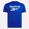 Herren-T-Shirt mit großem Logo und Rundhalsausschnitt