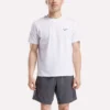 Herren-T-Shirt mit kleinem Logo, Rundhalsausschnitt und kurzen Ärmeln