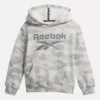 Reebok Identity Big Hoodie – Kleinkinder