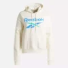 Reebok Identity Big Logo Fleece-Hoodie für Damen