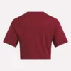 Zweifarbiges Logo-Crew-Shirt mit kurzen Ärmeln für Damen